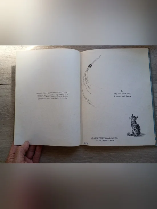 Vintage children's book: Rocket Rider, by Evelyn MacLaren (1954) Hard Cover Book - Picture 5 of 15